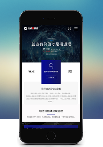 移动网站案例
